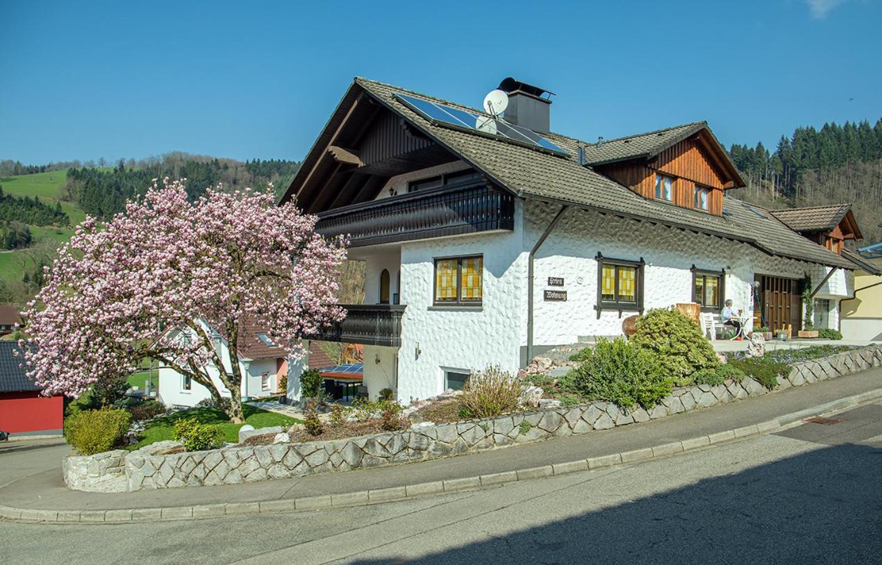 Ferienwohnung Lydia Schaeck Oberharmersbach Dış mekan fotoğraf